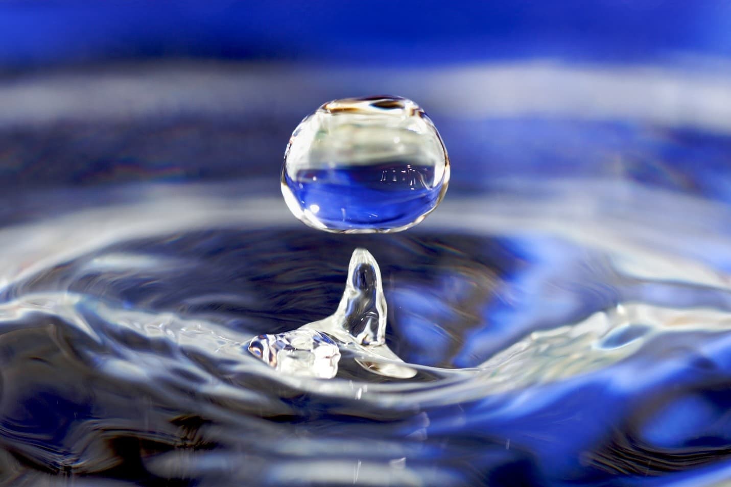 The Water Cycle: Importance of Water for Ecosystem