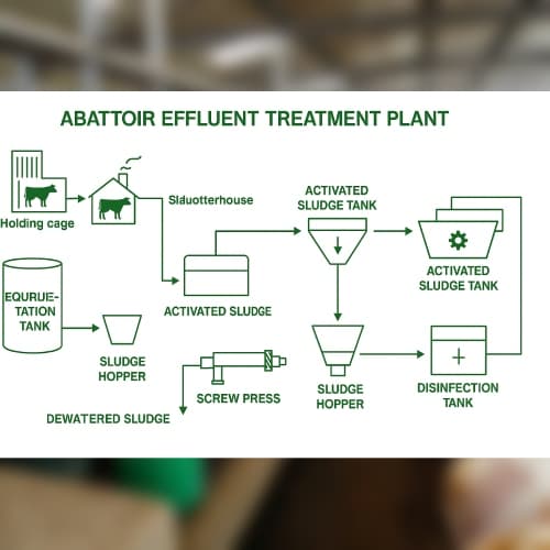 Slaughterhouses, Rendering facilities, and Abattoirs Effluents parameters to be treated