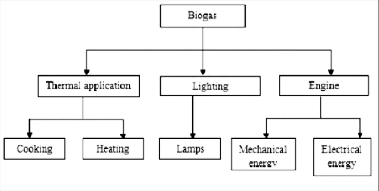 Biogas Applications