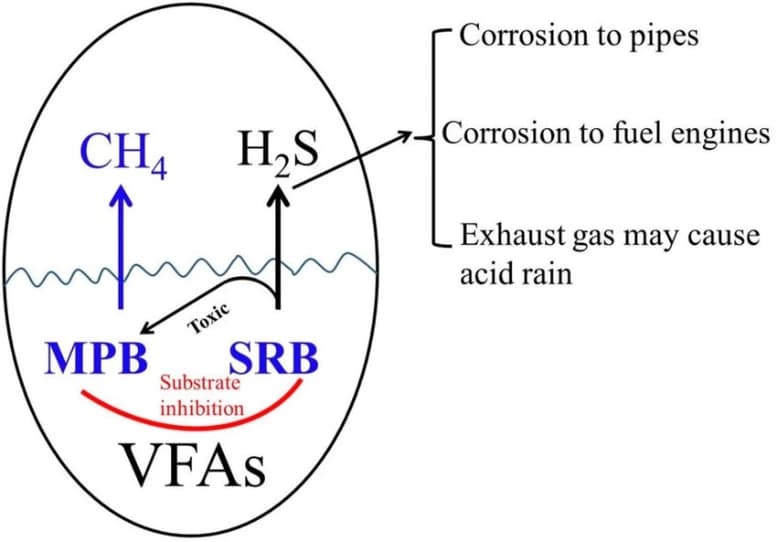 Hydrogen Sulphide Removal