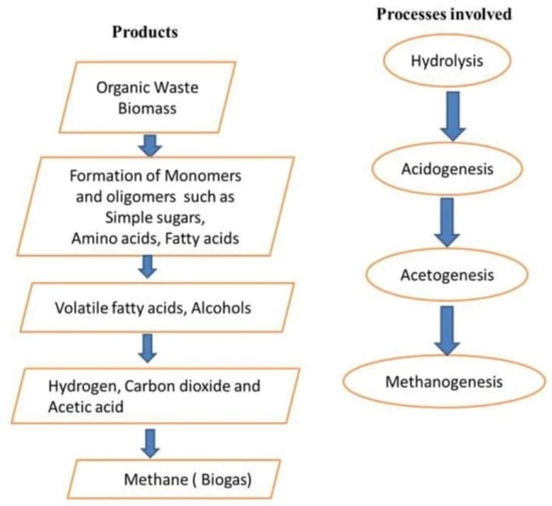 Environmental and Economic Impact
