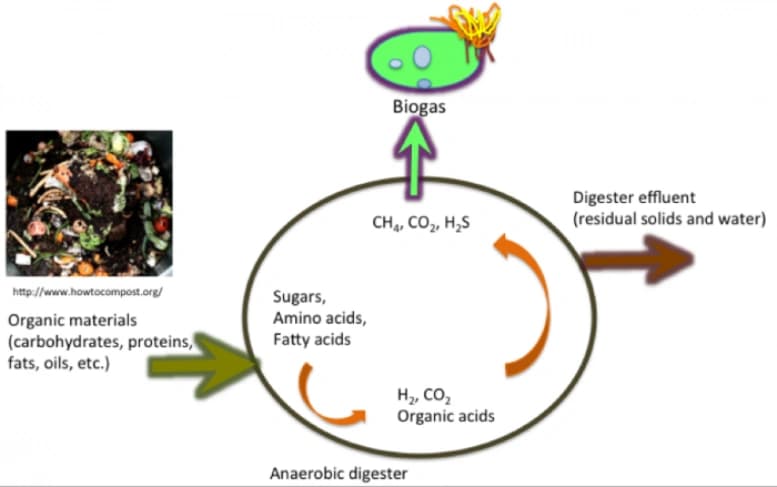 Biogas Production from Anaerobic Digesters