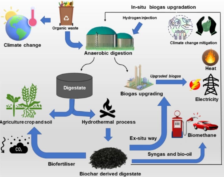 Biogas Composition
