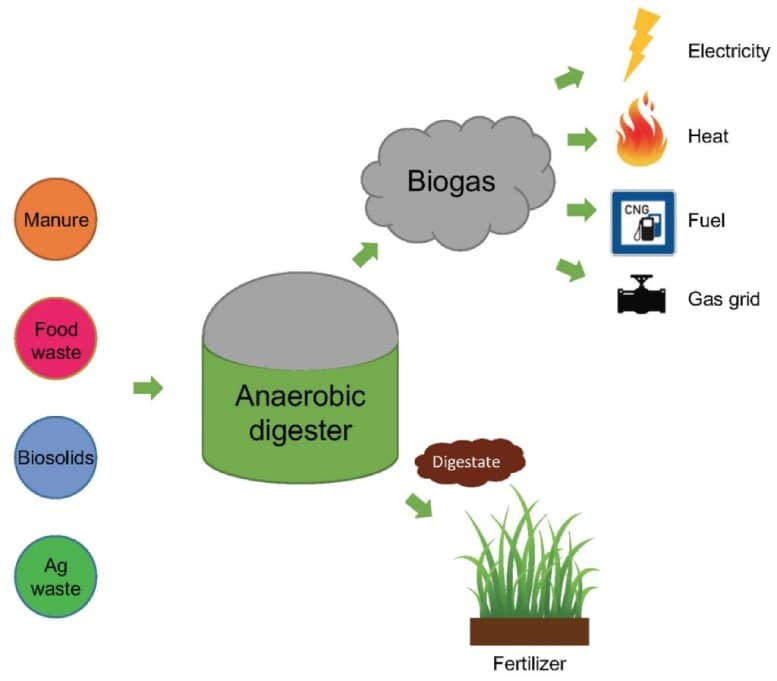 Environmental Benefits of Biogas