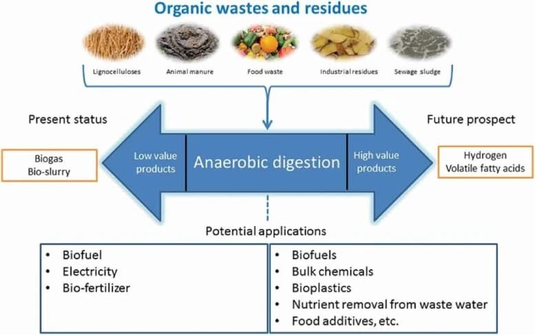 Acidogenesis and Acetogenesis