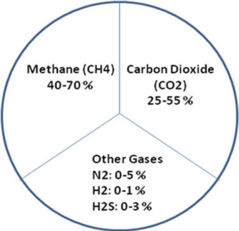 Biogas Composition Detail