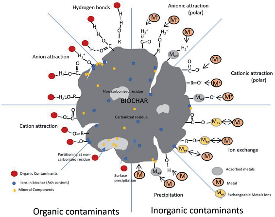 Biochar Based Sustainable Water Treatment Technology