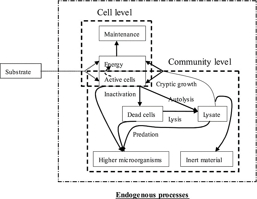 Biological Wastewater Treatment Systems -Natural Endogenous Respiration Vessel (NERV)