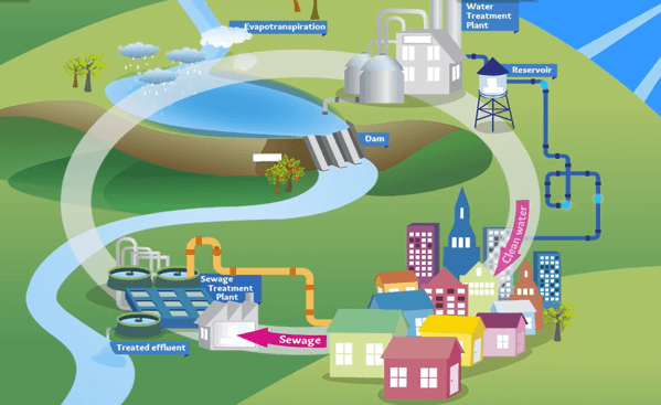Using a Sewage Treatment Plant for Africa to Eliminate Viral and Parasitic Organisms