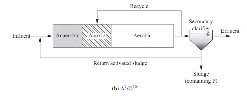 Activated Sludge Process for Wastewater Treatment Technologies