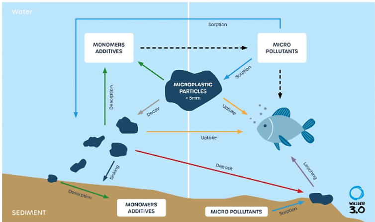 Behavior of microplastic in water