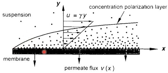 Concentration Polarities CP