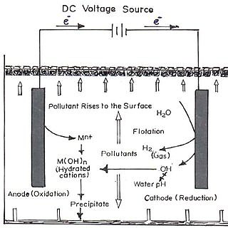 Electrolytic treatment for the purification of wastewater