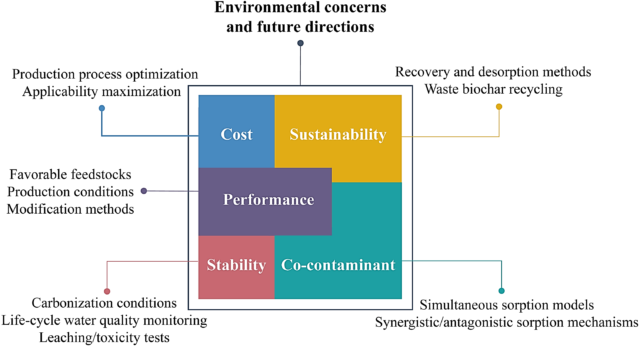Biochar Based Sustainable Water Treatment Technology