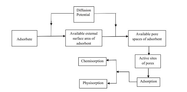 Pathway of arsenic adsorption process