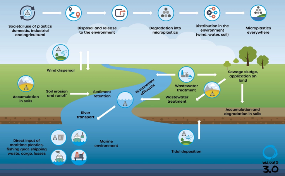 Microplastic Pollution In The Marine Environment And - vrogue.co