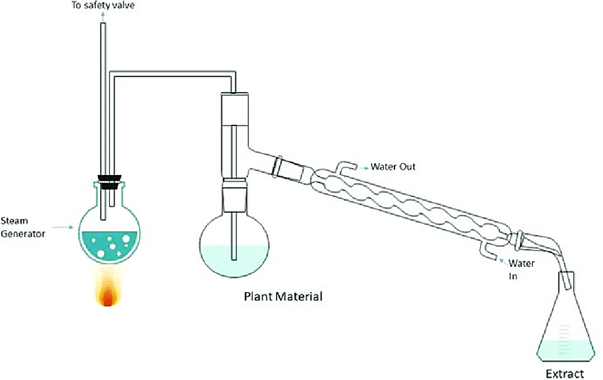 Plant Material