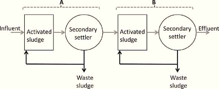 Schematic Diagram of Adsorption/Bio-oxidation Process