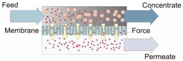 Membrane Processes