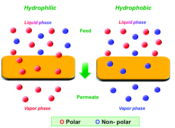 Two Classes of Polymeric Membranes