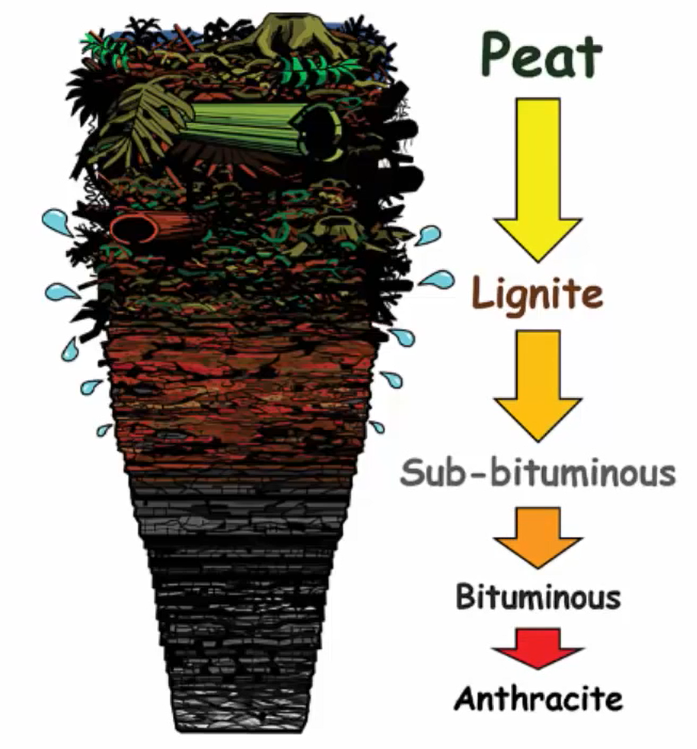 Anthracite, Lignite, bituminous coal