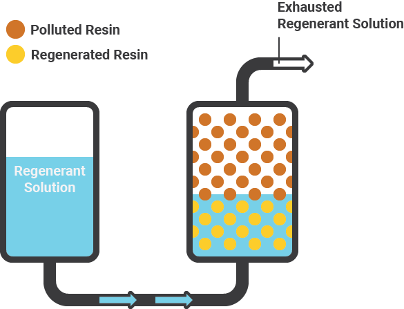 Exhausted Regenerat Solution