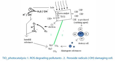 Use of Nanoparticles in Water Purification